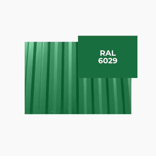 RAL 6029